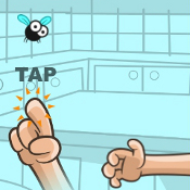 Annoying Fly